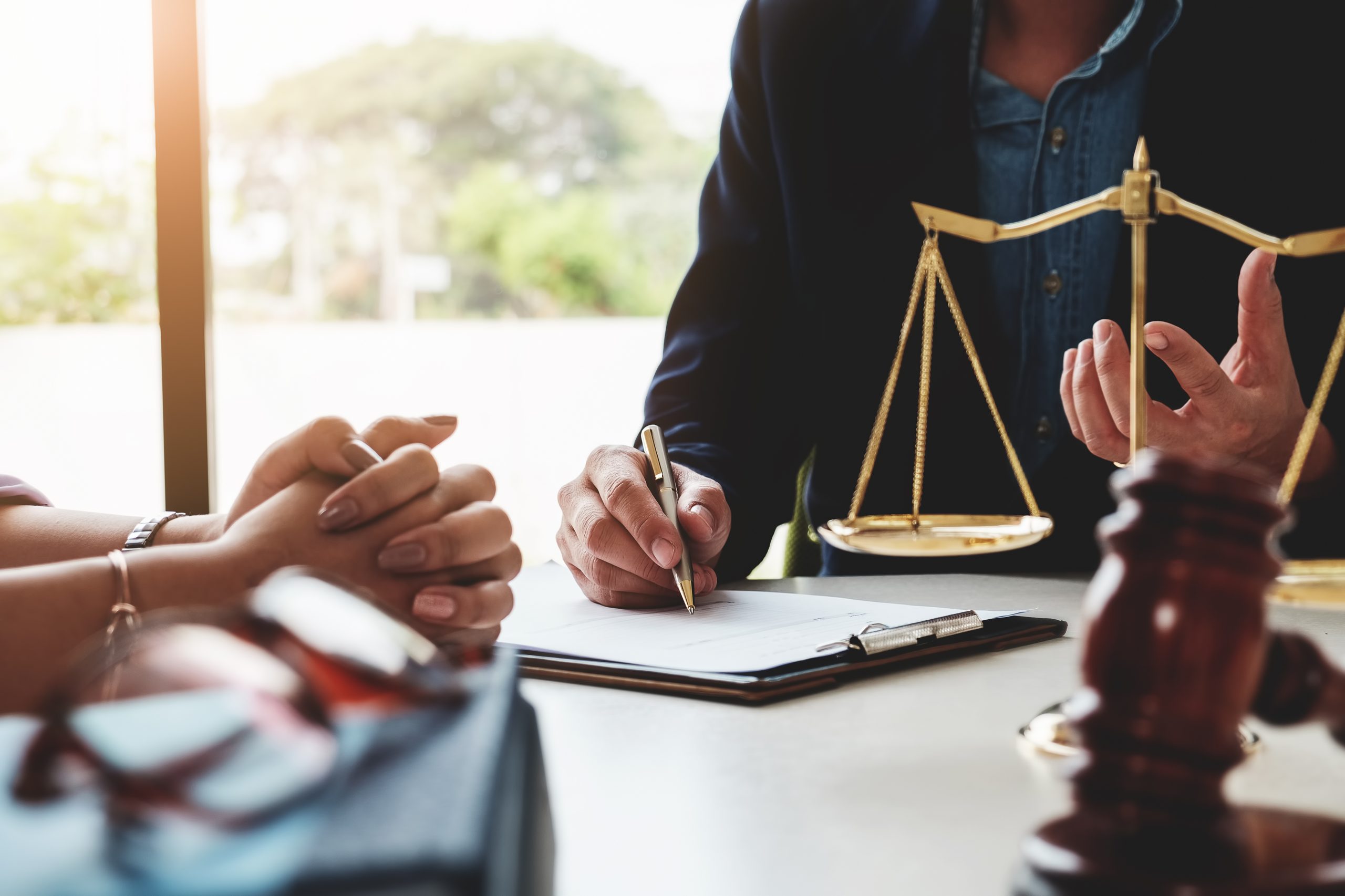 Litigation Services